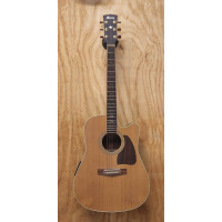 ibanez_artwood_with_pu