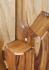 singingwood_back_lower
