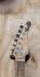 singingwood__headstock