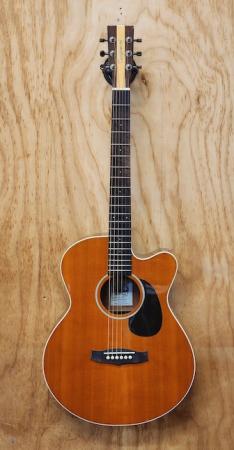 tanglewood__nashville_tn_5