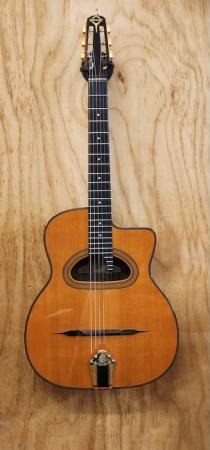 gitane_d500jpg
