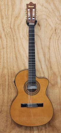 ibanez_gas_ce_am_